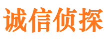 龙子湖市侦探公司